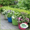 Cadeautips tot 10 euro